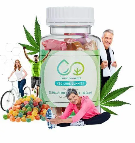 Twin Elements CBD